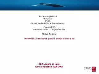 CEA Laguna di Nora Anno scolastico 2006-2007
