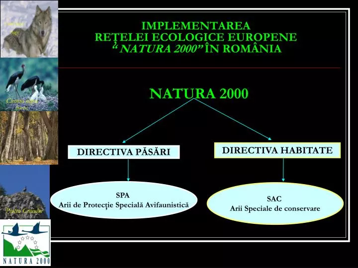 implementarea re elei ecologice europene natura 2000 n rom nia