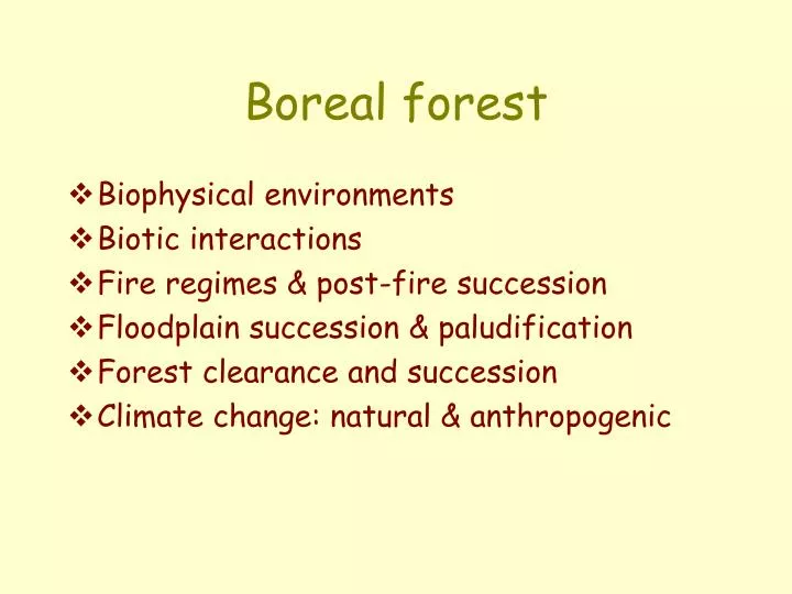 boreal forest