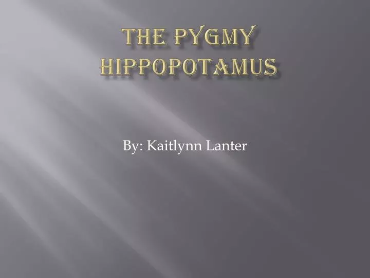 the pygmy hippopotamus