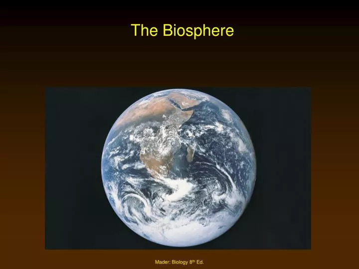 the biosphere