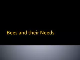 Bees and their Needs