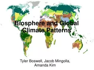 Biosphere and Global Climate Patterns