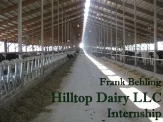 Hilltop Dairy LLC Internship