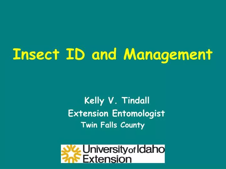 insect id and management