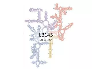 LB145 Sec 001-004