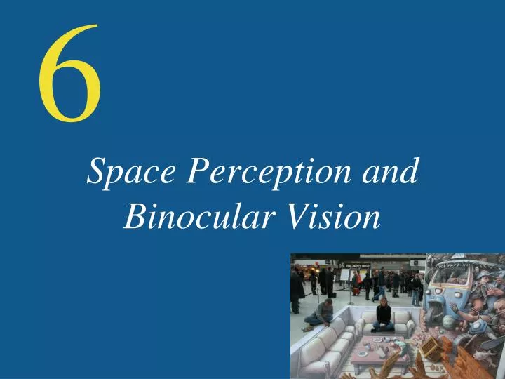space perception and binocular vision