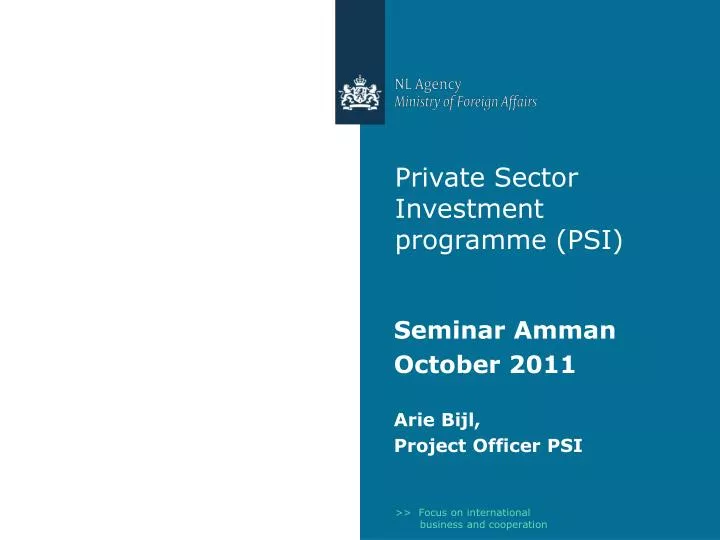private sector investment programme psi