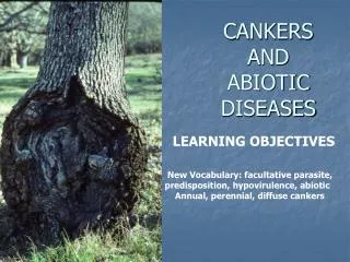 CANKERS AND ABIOTIC DISEASES