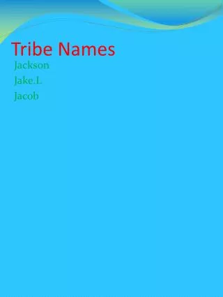 Tribe Names