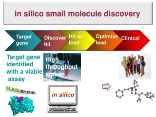 in silico small molecule discovery