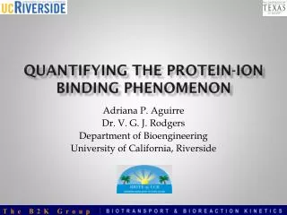 Quantifying the Protein-Ion Binding Phenomenon