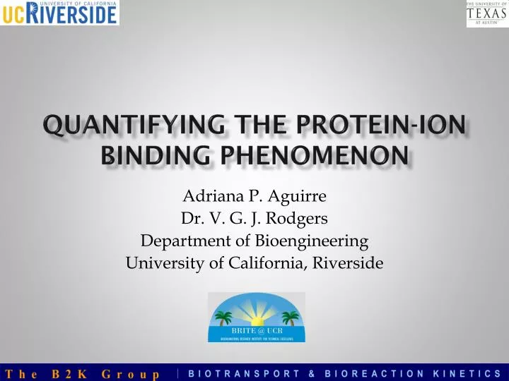 quantifying the protein ion binding phenomenon