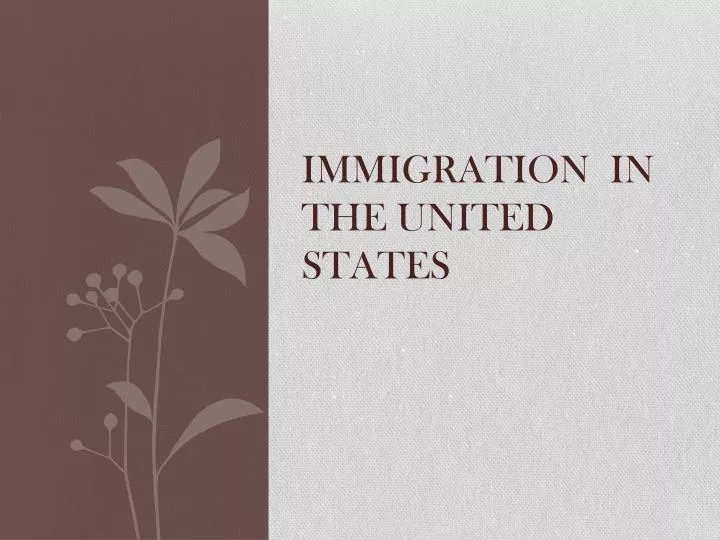 immigration in the united states