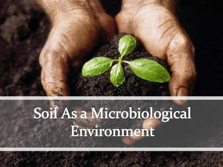 soil as a microbiological environment