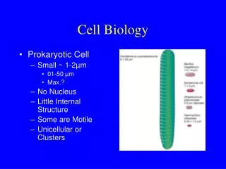 Cell Biology