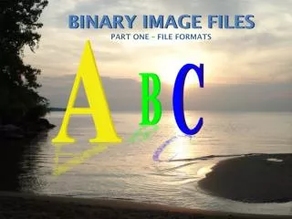 BINARY IMAGE FILES