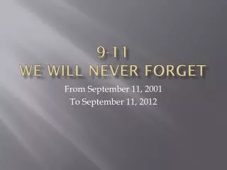 9-11 We Will Never Forget