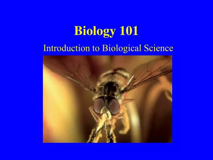 biology 101