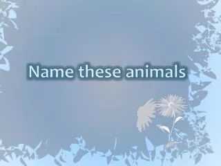 Name these animals