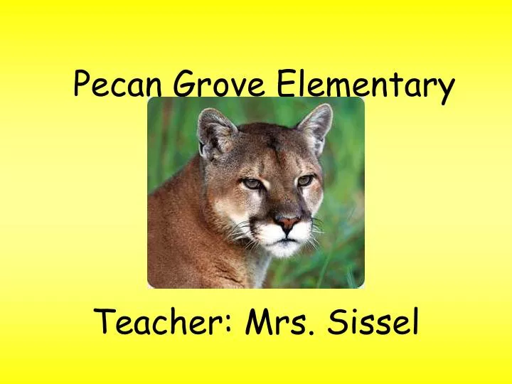 pecan grove elementary