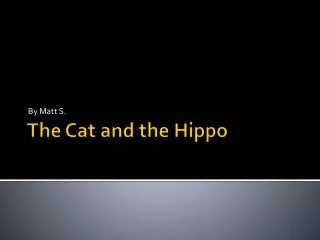 The Cat and the Hippo