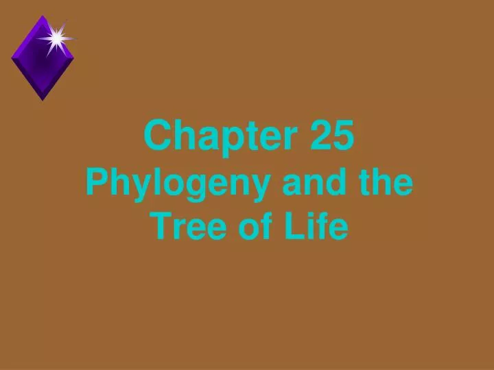 chapter 25 phylogeny and the tree of life