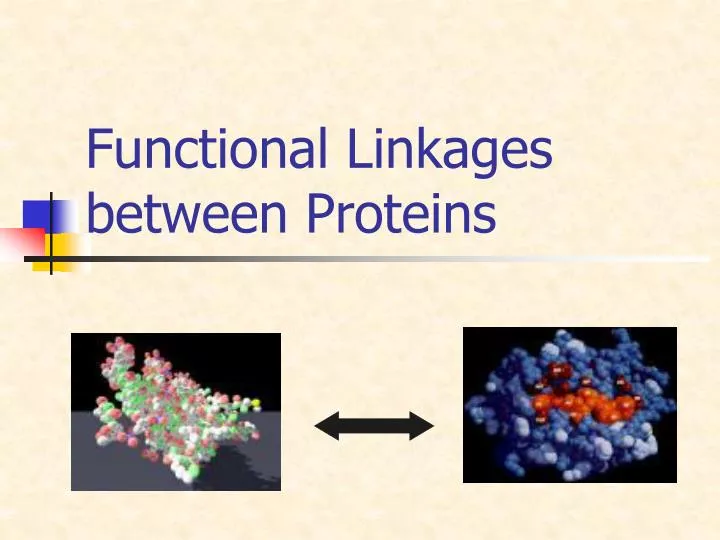 functional linkages between proteins