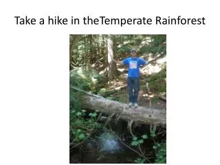 Take a hike in theTemperate Rainforest