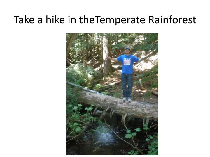 take a hike in thetemperate rainforest