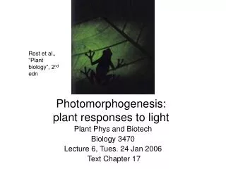 Photomorphogenesis: plant responses to light