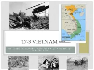 1 7-3 Vietnam