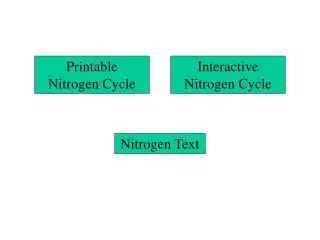 Interactive Nitrogen Cycle