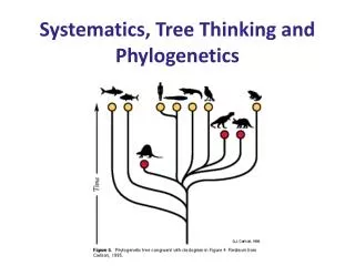 Systematics, Tree Thinking and Phylogenetics