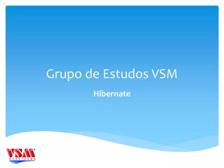 grupo de estudos vsm