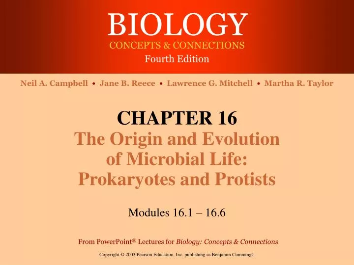 chapter 16 the origin and evolution of microbial life prokaryotes and protists