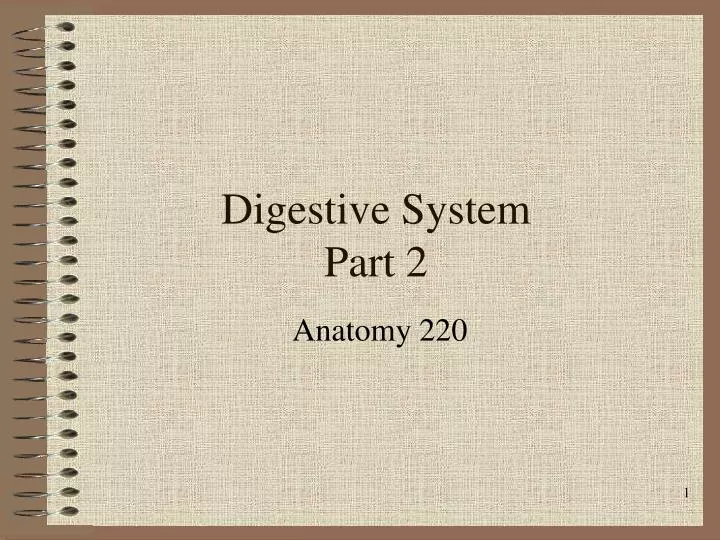 digestive system part 2