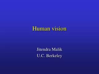Human vision
