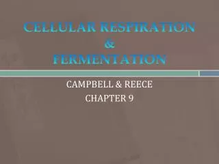 CELLULAR RESPIRATION &amp; FERMENTATION