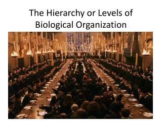The Hierarchy or Levels of Biological Organization