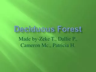 deciduous forest