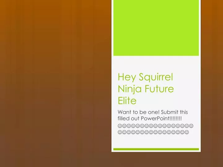 hey squirrel ninja future elite