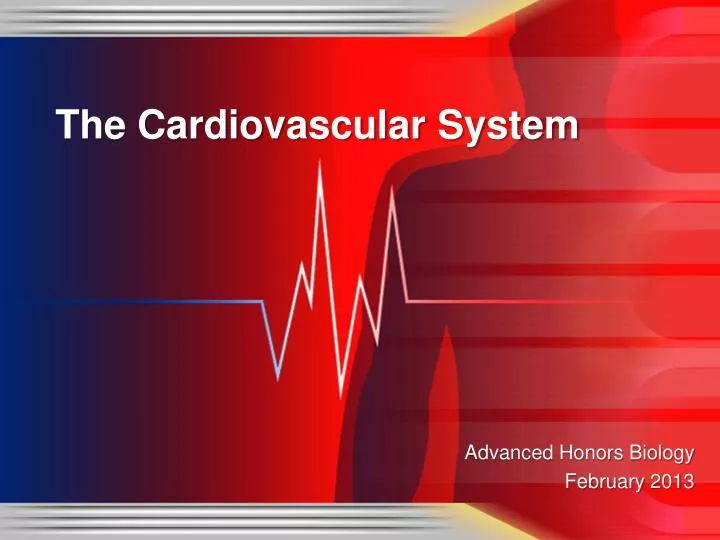 the cardiovascular system