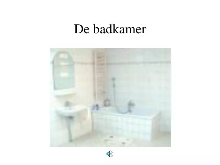 de badkamer