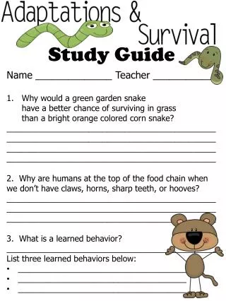 Study Guide