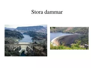 Stora dammar