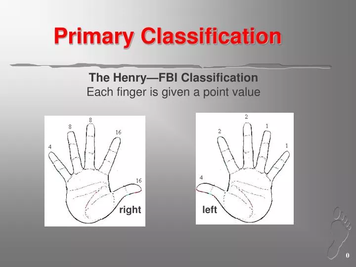 primary classification