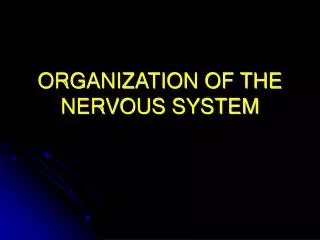 ORGANIZATION OF THE NERVOUS SYSTEM