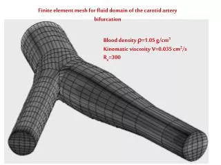 Finite element mesh for fluid domain of the carotid artery bifurcation