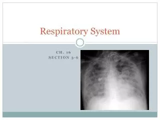 Respiratory System